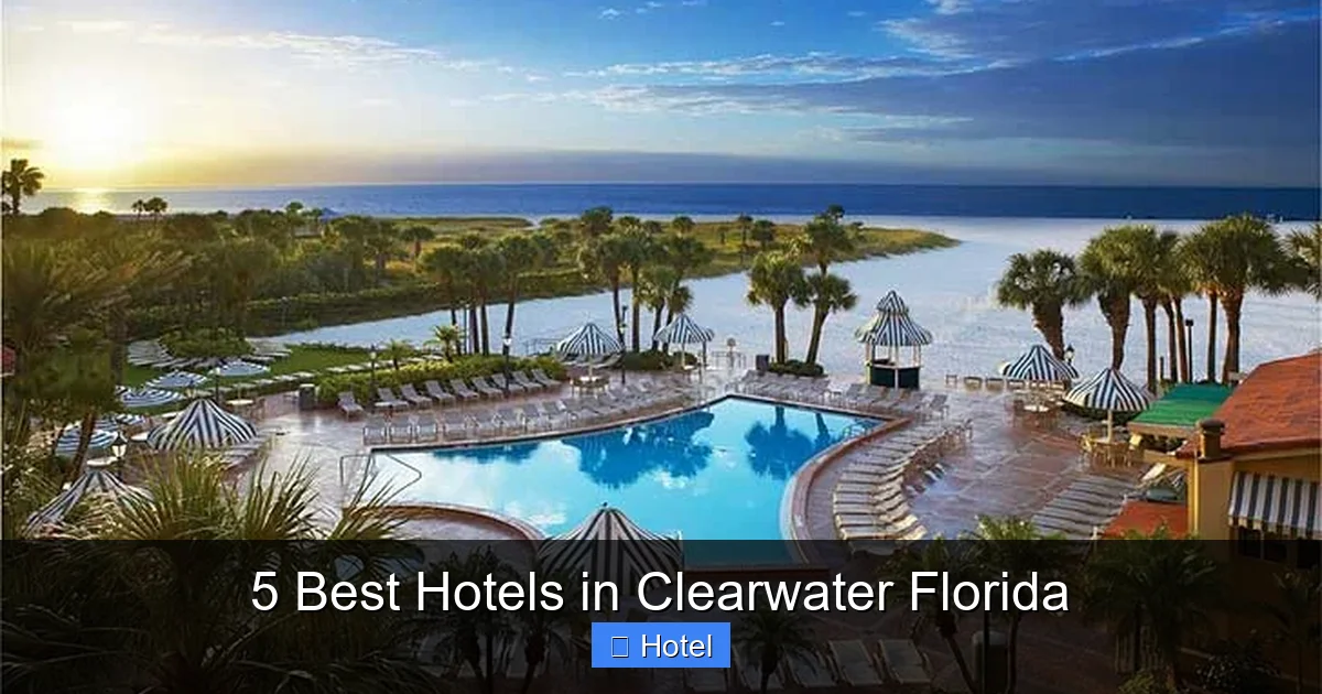 5 Best Hotels in Clearwater Florida