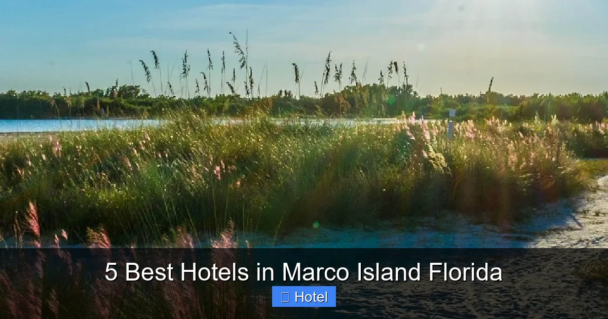 5 Best Hotels in Marco Island Florida