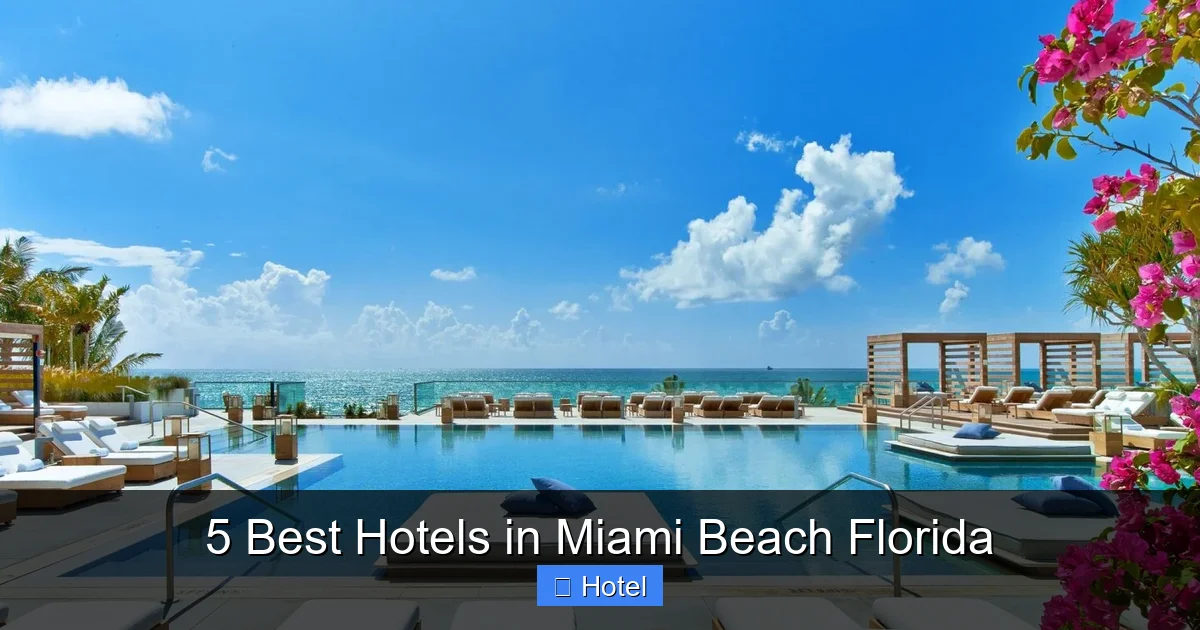 5 Best Hotels in Miami Beach Florida