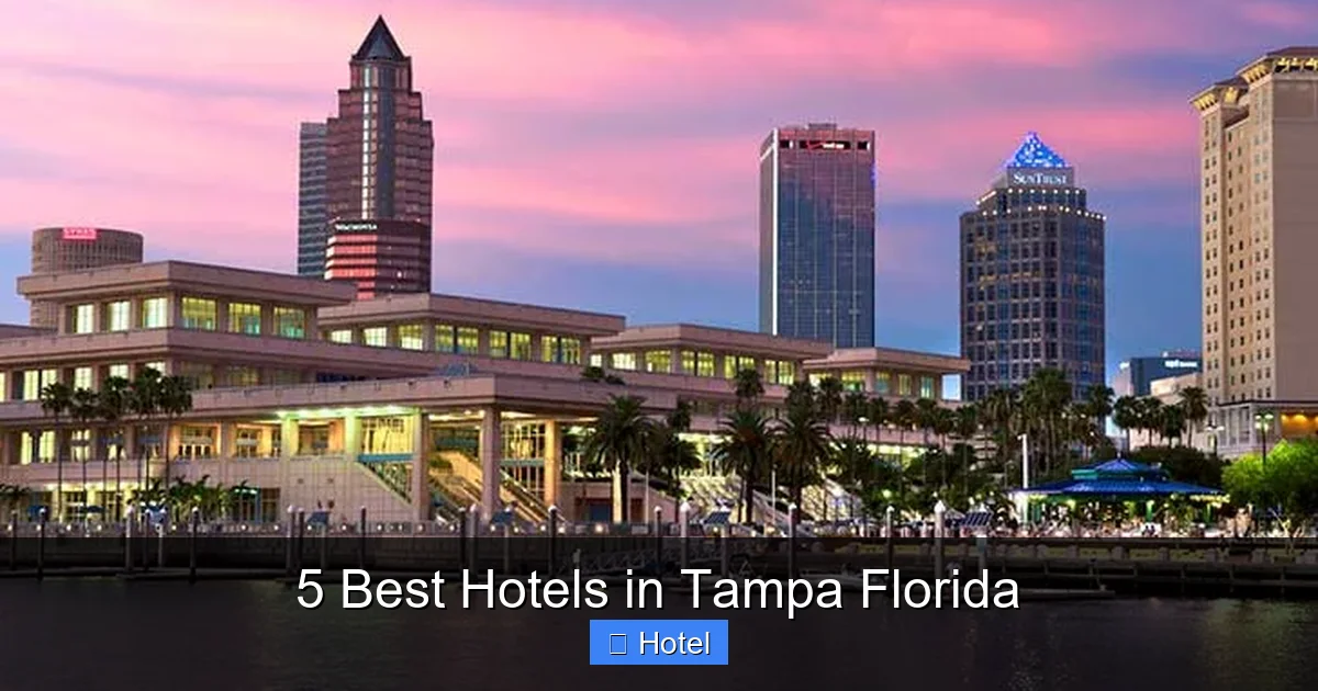 5 Best Hotels in Tampa Florida