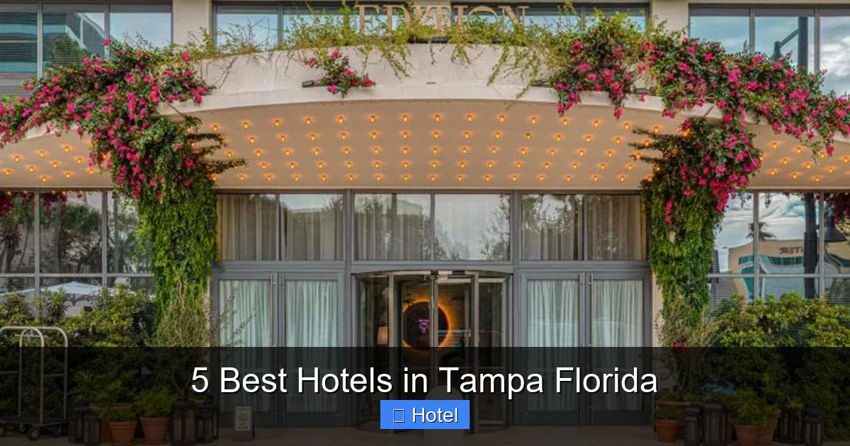 5 Best Hotels in Tampa Florida