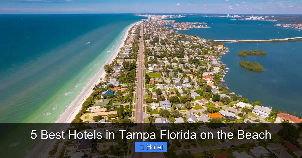 5 Best Hotels in Tampa Florida on the Beach