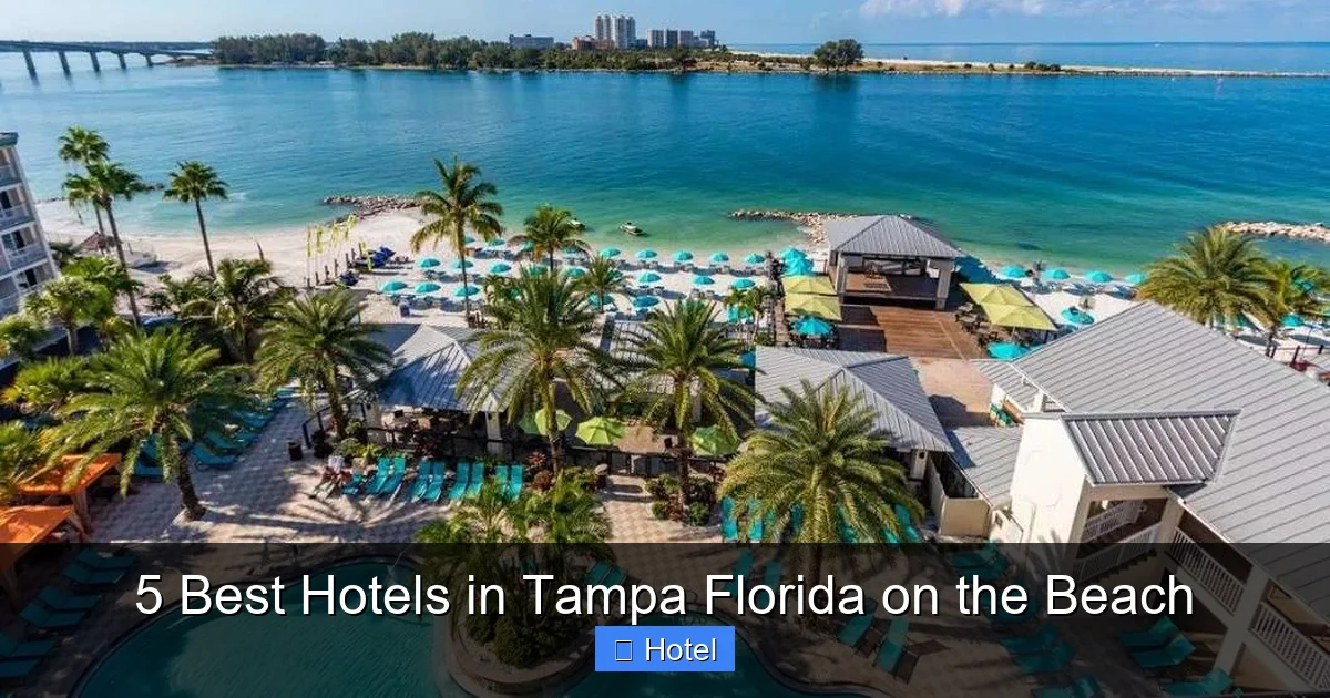 5 Best Hotels in Tampa Florida on the Beach