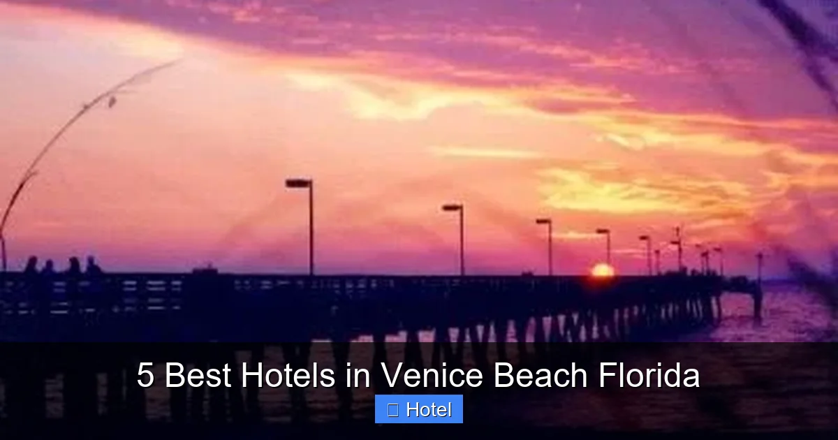 5 Best Hotels in Venice Beach Florida