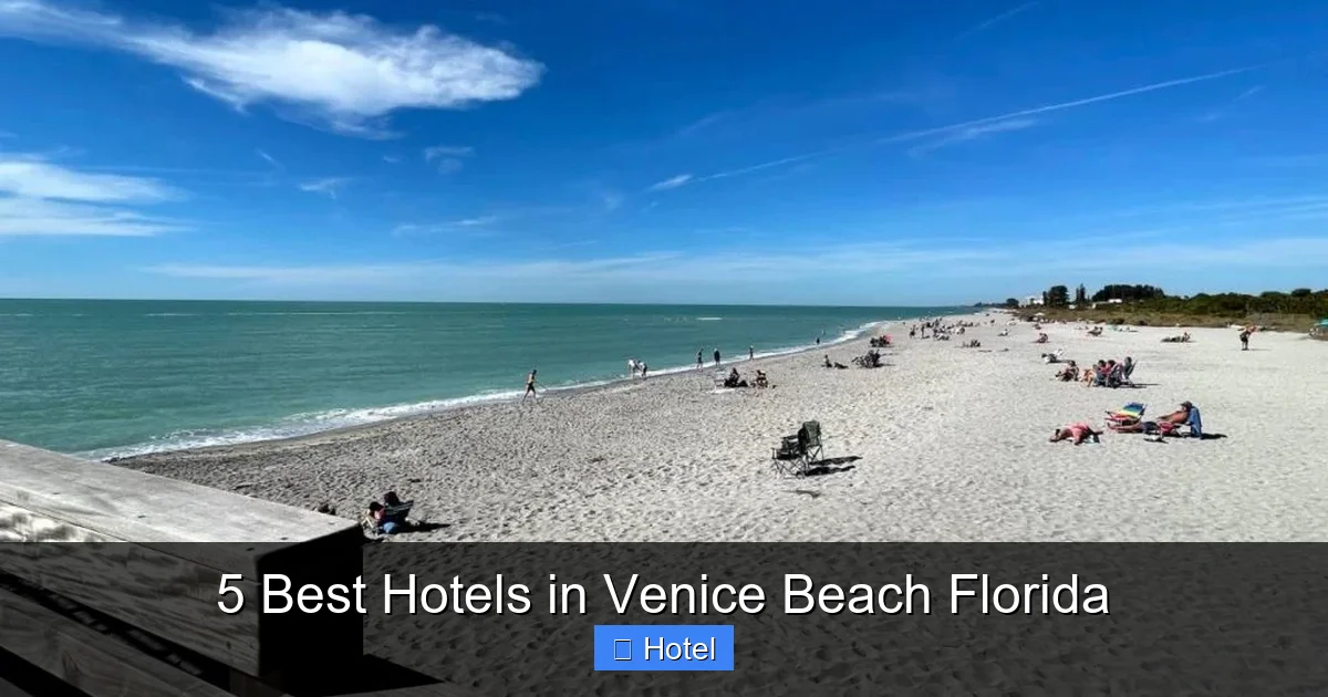 5 Best Hotels in Venice Beach Florida