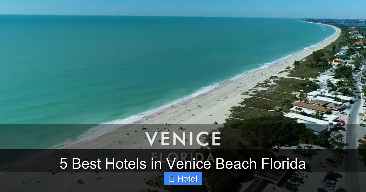 5 Best Hotels in Venice Beach Florida