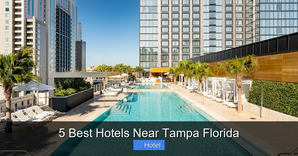 5 Best Hotels Near Tampa Florida