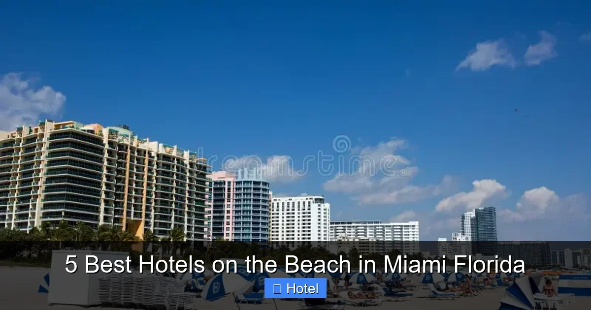 5 Best Hotels on the Beach in Miami Florida