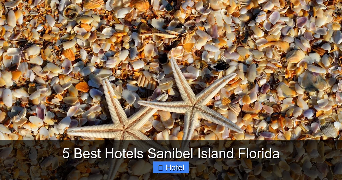 5 Best Hotels Sanibel Island Florida