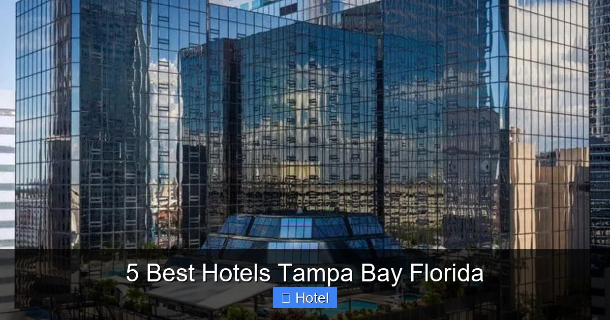 5 Best Hotels Tampa Bay Florida