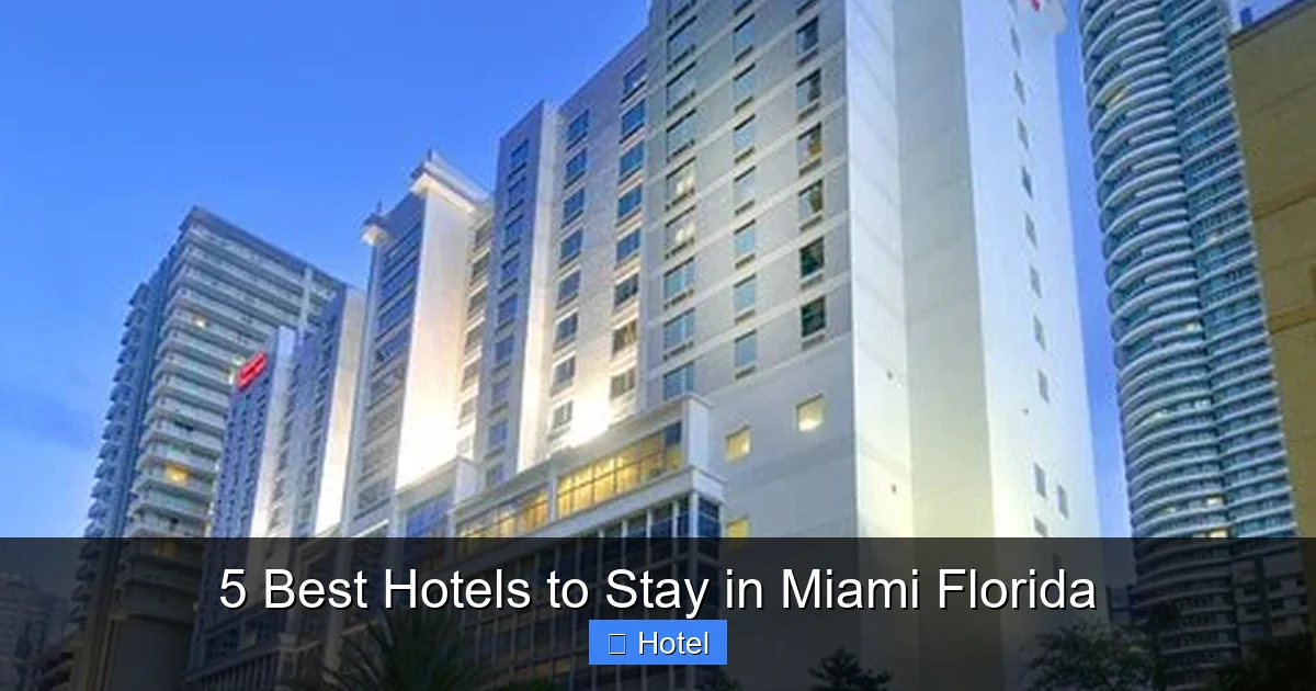 5 Best Hotels to Stay in Miami Florida