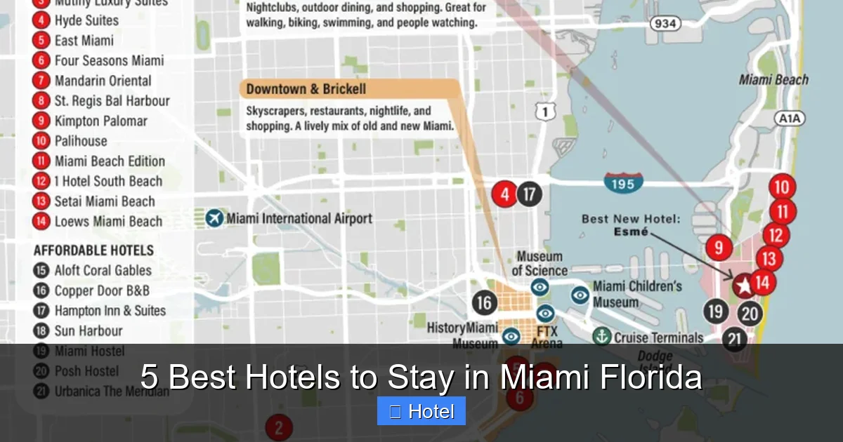 5 Best Hotels to Stay in Miami Florida