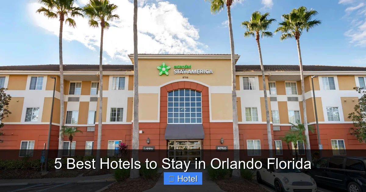 5 Best Hotels to Stay in Orlando Florida