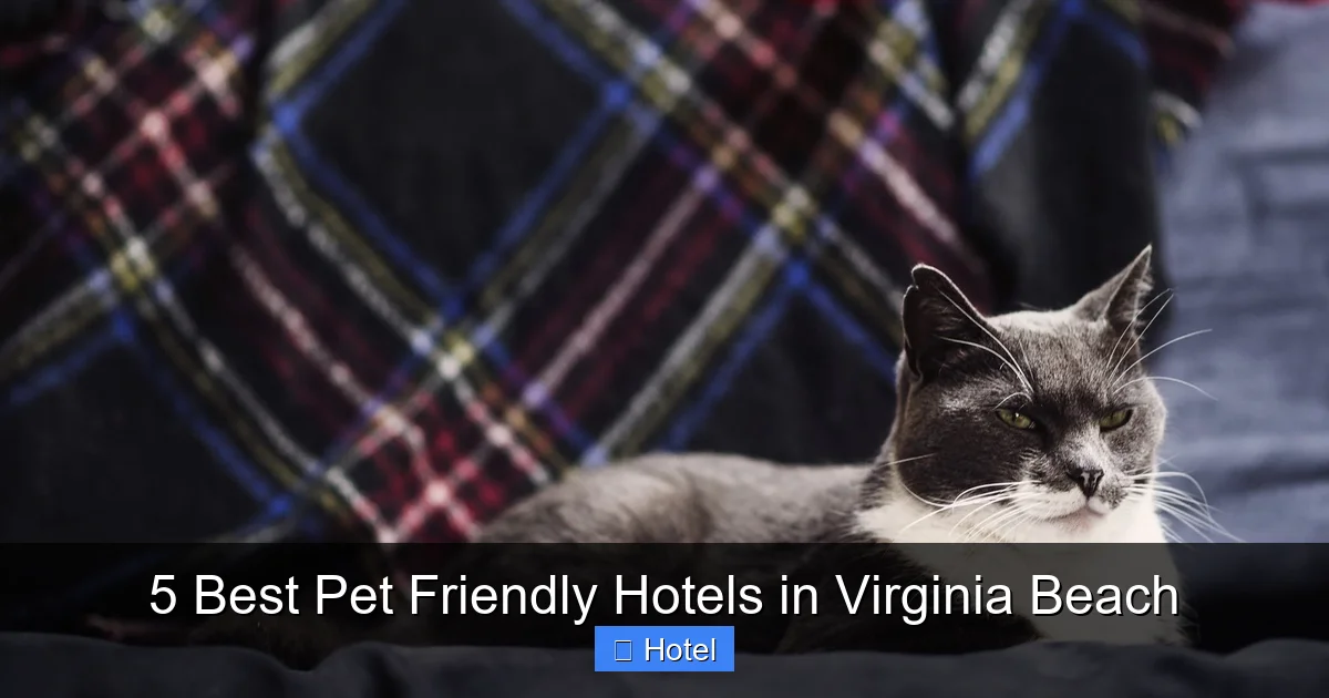5 Best Pet Friendly Hotels in Virginia Beach