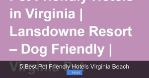 5 Best Pet Friendly Hotels Virginia Beach