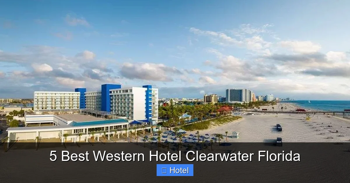 5 Best Western Hotel Clearwater Florida