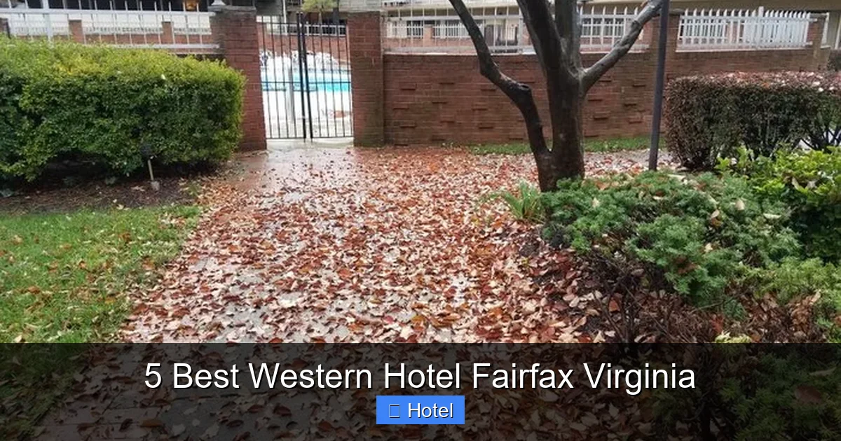 5 Best Western Hotel Fairfax Virginia