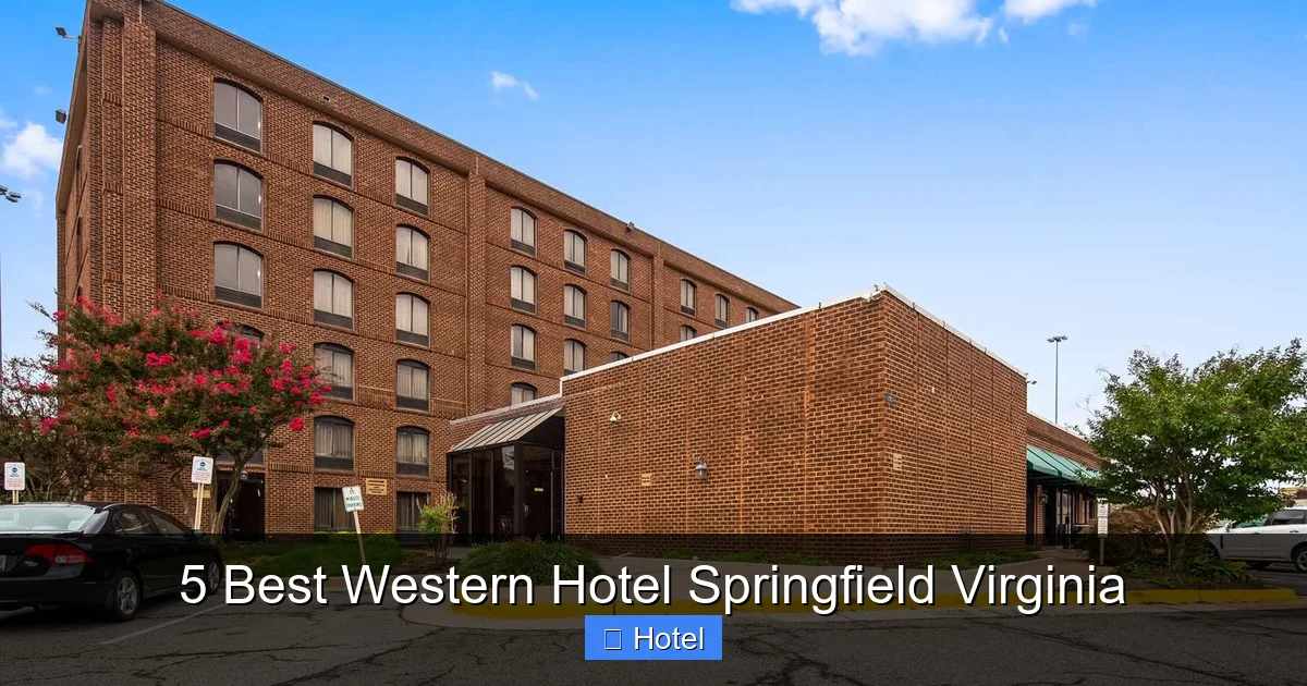 5 Best Western Hotel Springfield Virginia