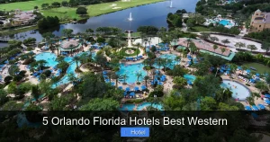 5 Orlando Florida Hotels Best Western