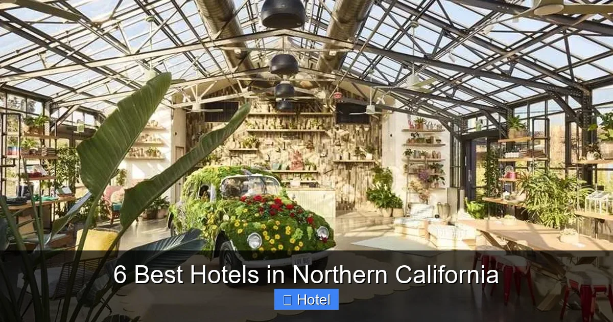 6 Best Hotels in Northern California