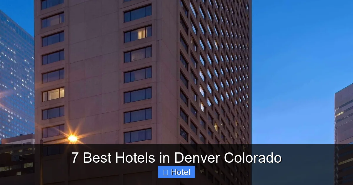 7 Best Hotels in Denver Colorado