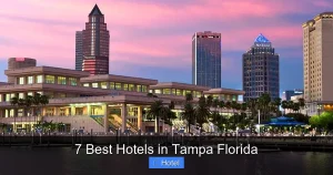 7 Best Hotels in Tampa Florida