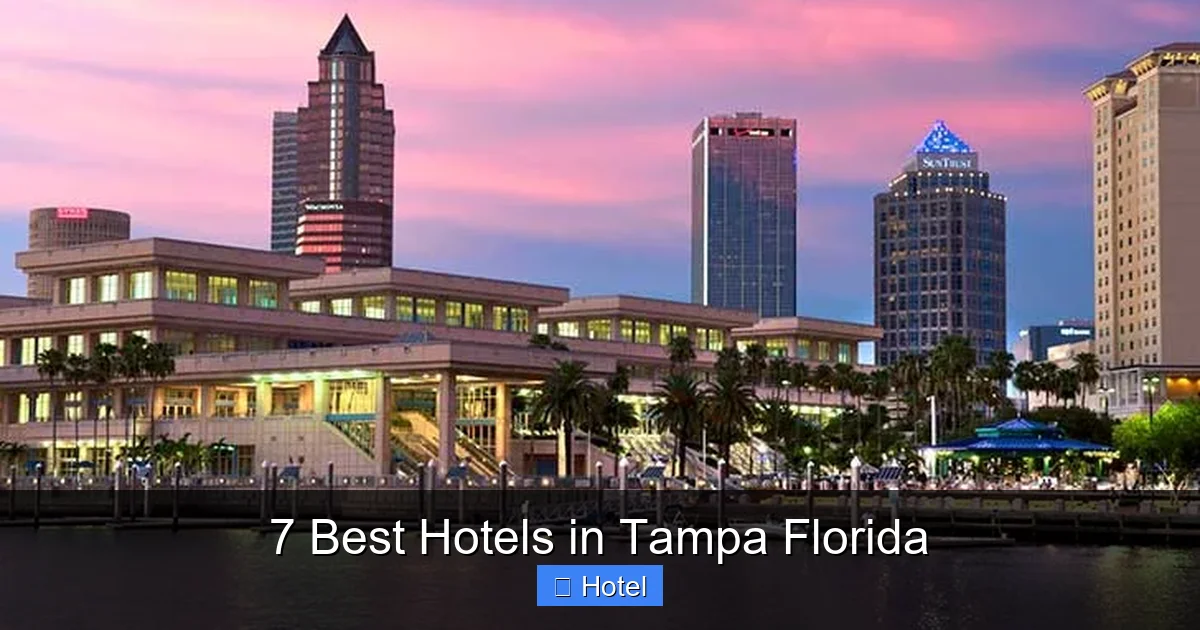 7 Best Hotels in Tampa Florida