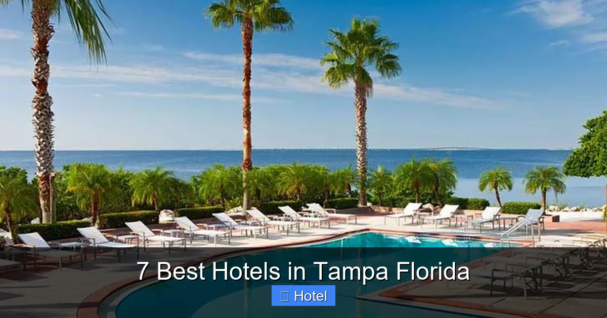 7 Best Hotels in Tampa Florida