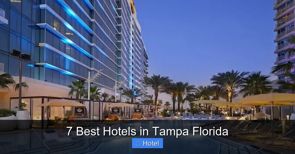 7 Best Hotels in Tampa Florida