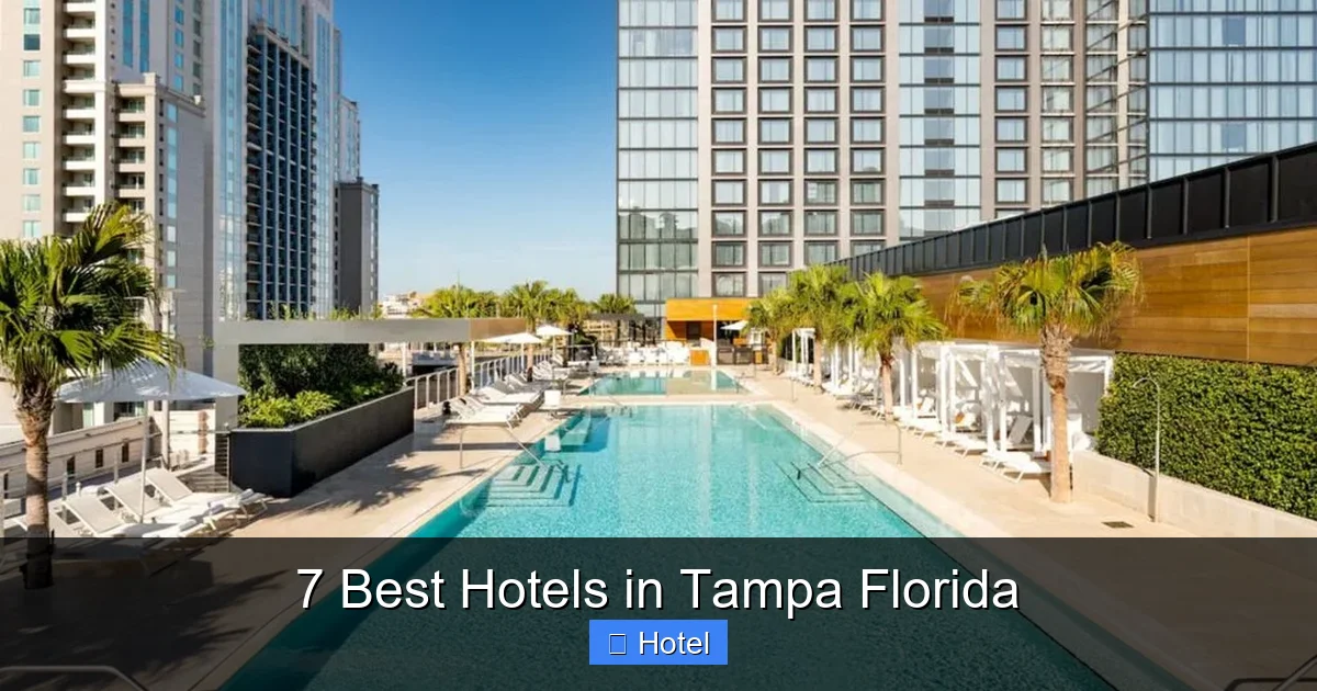 7 Best Hotels in Tampa Florida