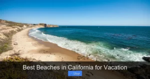Best Beaches in California for Vacation