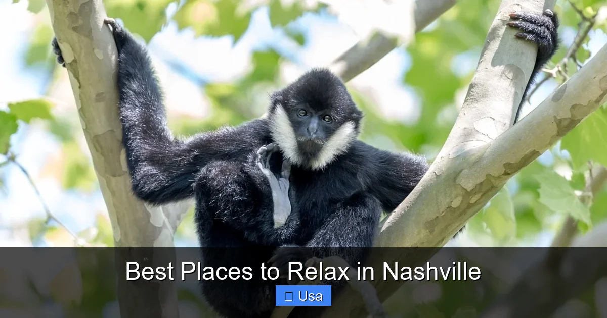 Best Places to Relax in Nashville