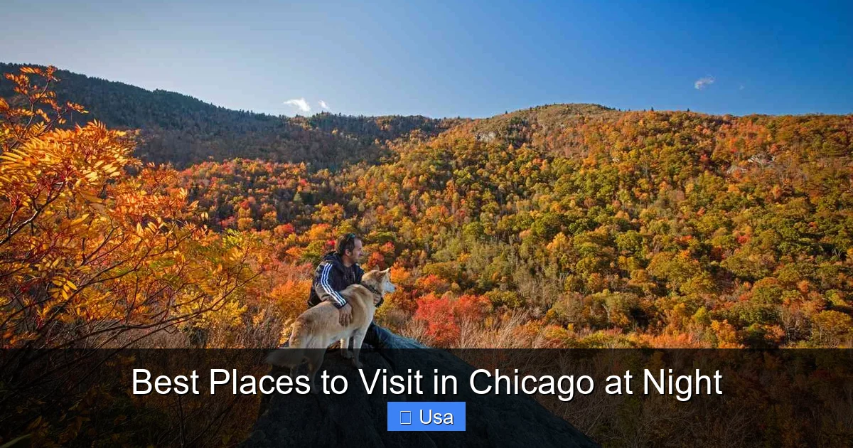 Best Places to Visit in Chicago at Night