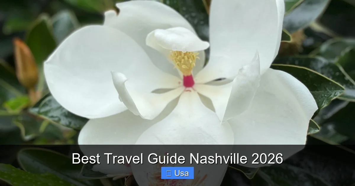 Best Travel Guide Nashville 2026