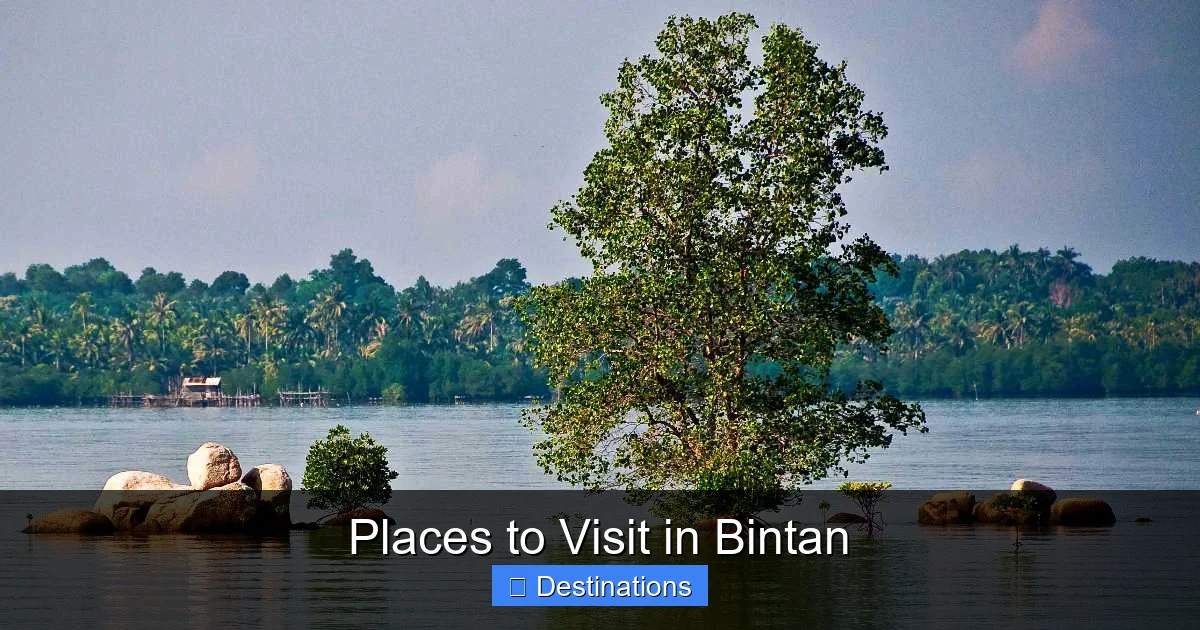Places to Visit in Bintan