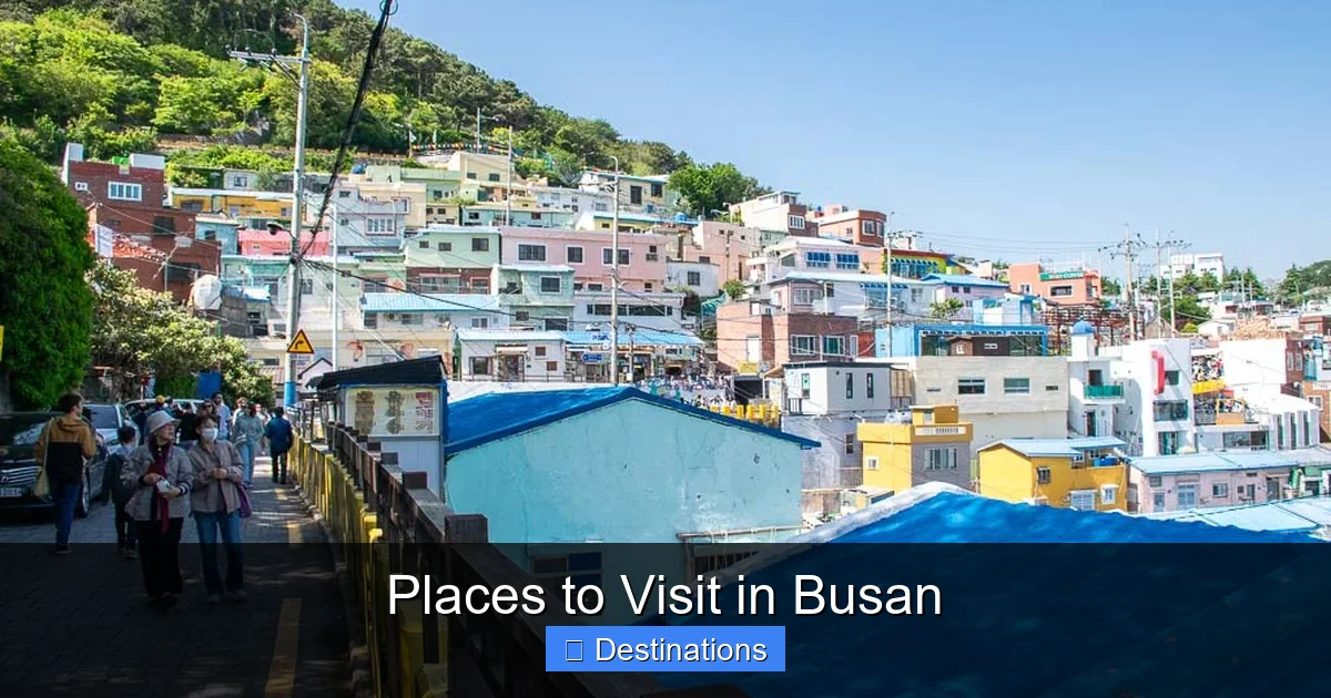 Places to Visit in Busan