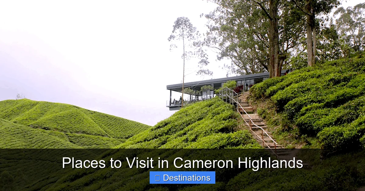 Places to Visit in Cameron Highlands