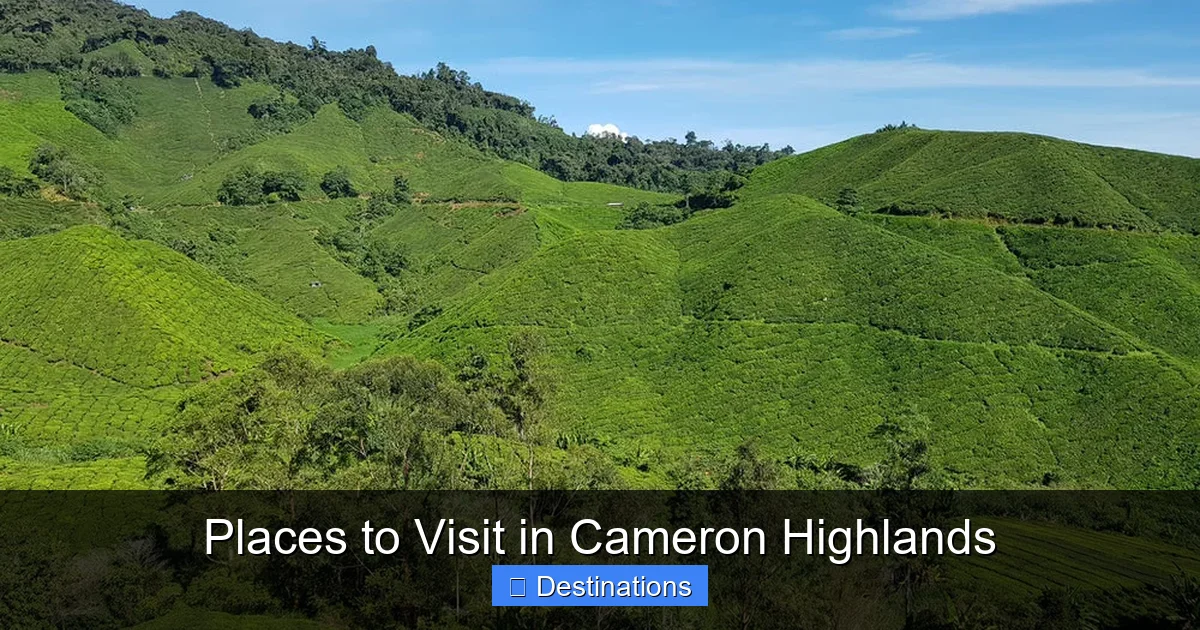 Places to Visit in Cameron Highlands
