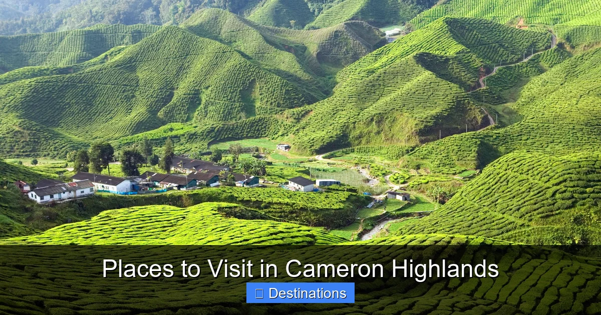 Places to Visit in Cameron Highlands