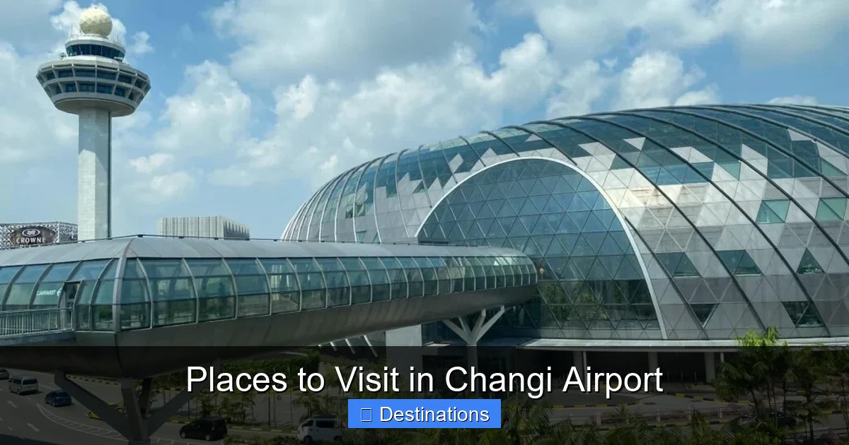 Places to Visit in Changi Airport
