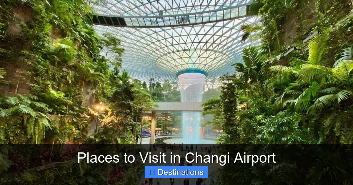 Places to Visit in Changi Airport