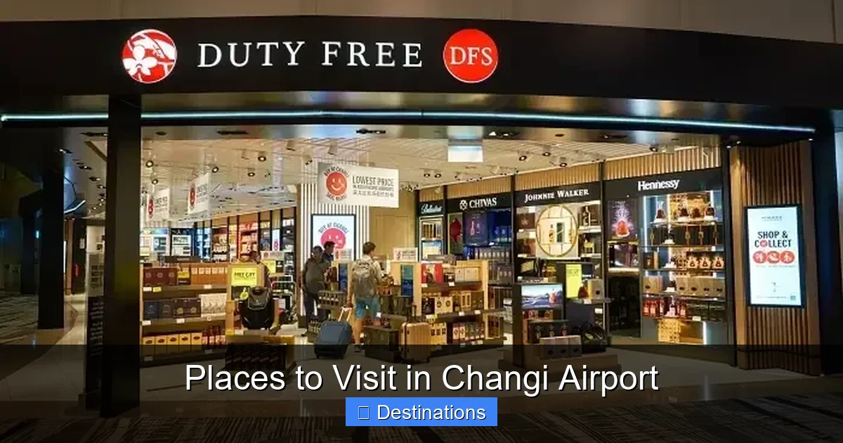 Places to Visit in Changi Airport