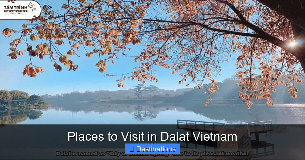 Places to Visit in Dalat Vietnam