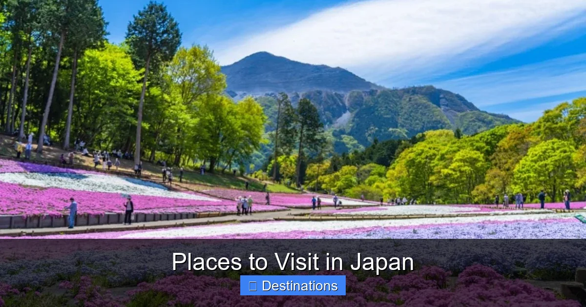 Places to Visit in Japan