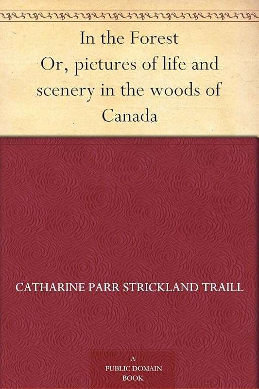 Forest Life & Canadian Woods Scenic Photography