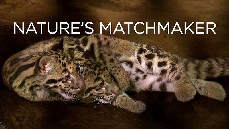 Brazil's Emerald Oasis: Discover Nature's Hidden Gem