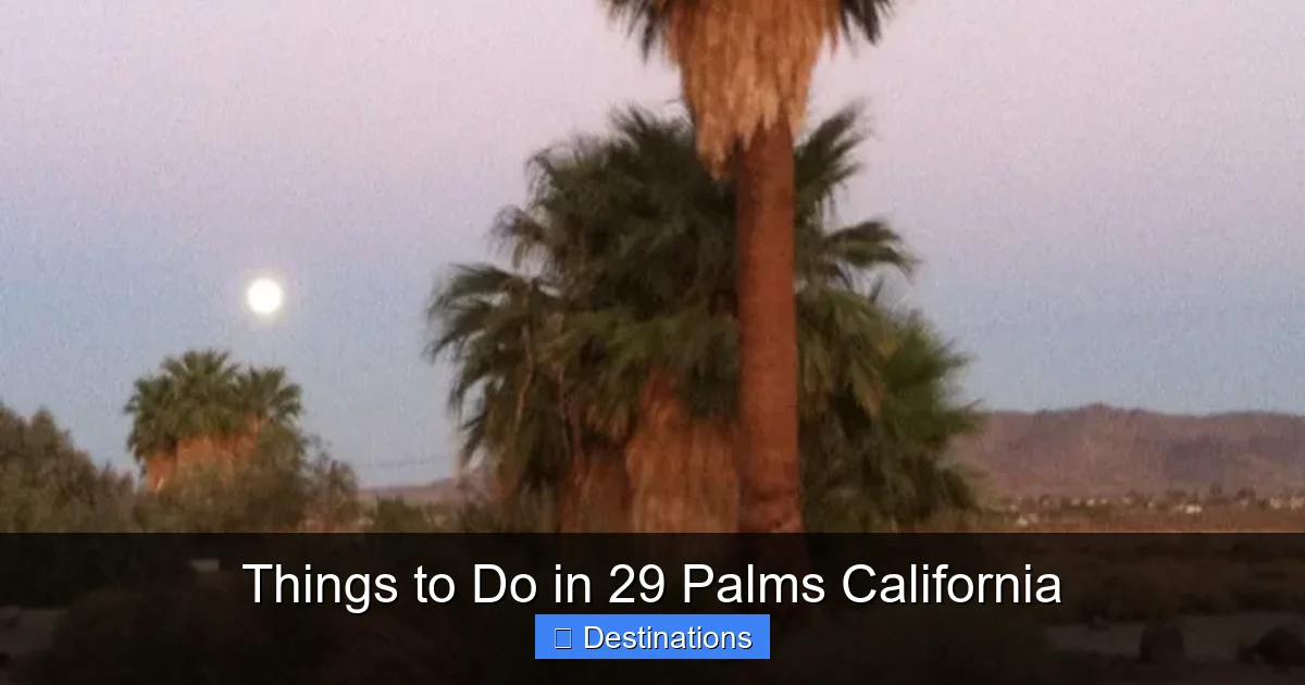 Things to Do in 29 Palms California
