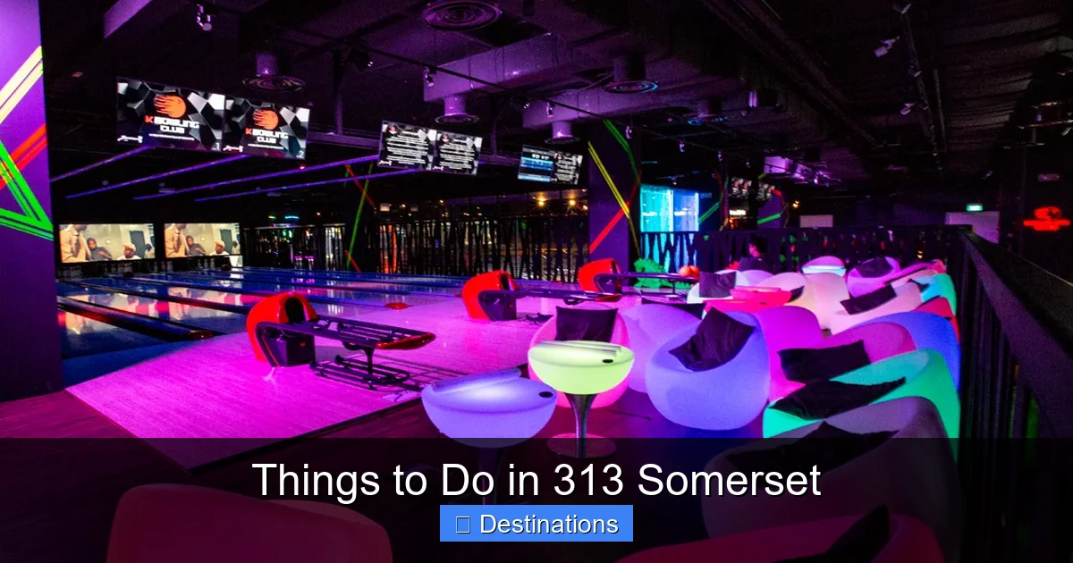 Things to Do in 313 Somerset