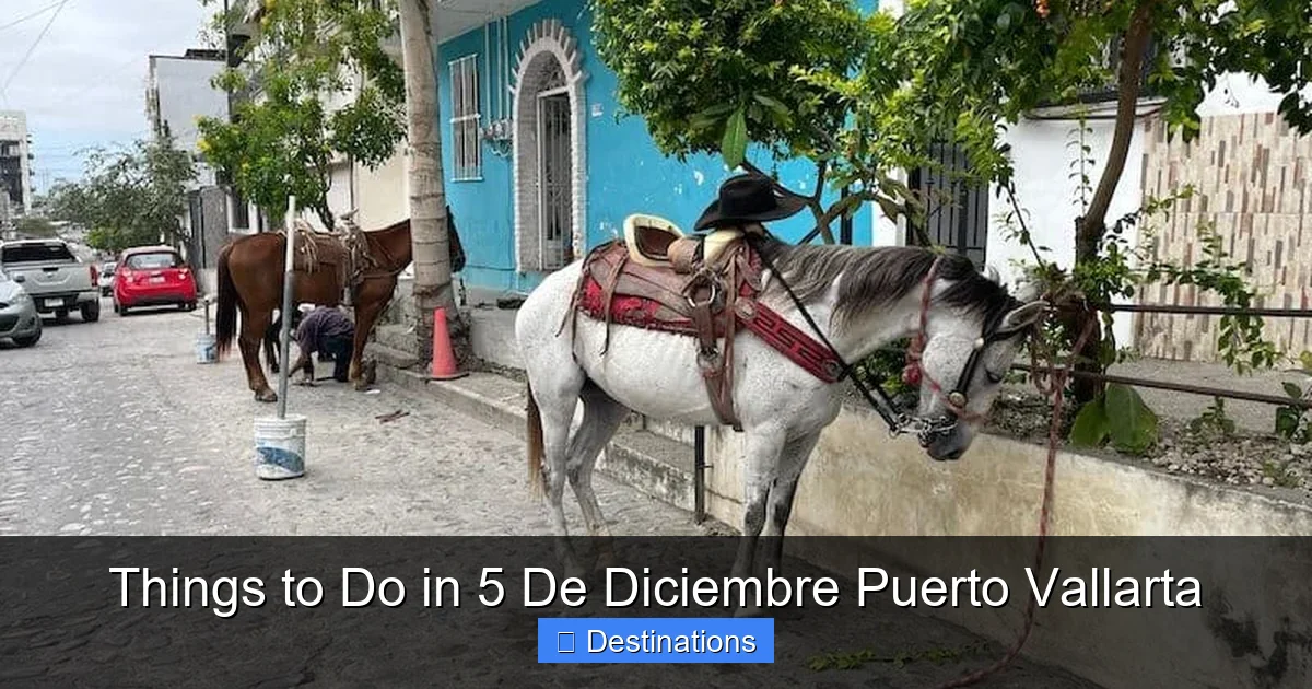Things to Do in 5 De Diciembre Puerto Vallarta