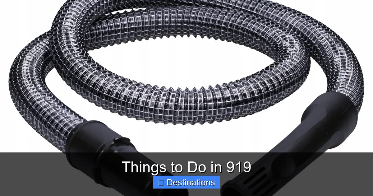 Things to Do in 919